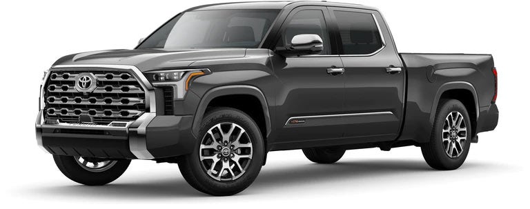 2022 Toyota Tundra 1974 Edition in Magnetic Gray Metallic | Ed Martin Toyota in Noblesville IN