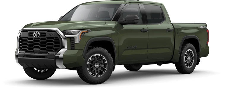 2022 Toyota Tundra SR5 in Army Green | Ed Martin Toyota in Noblesville IN