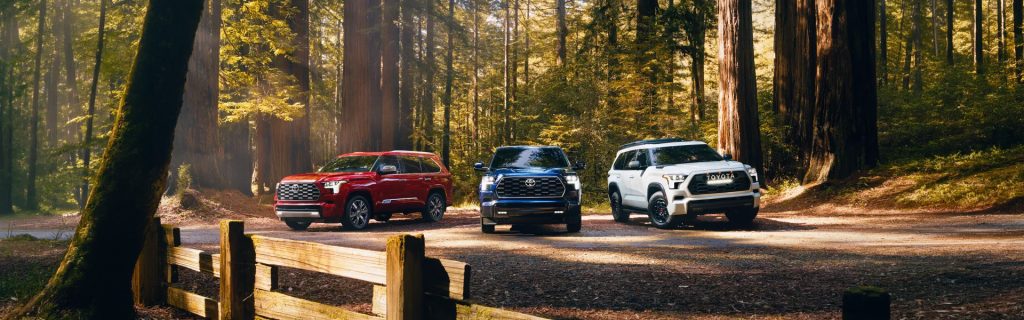Three Toyota SUVs parked on a forest road surrounded by tall redwood trees.