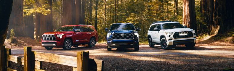 Red, blue and white Toyota Sequoias parked on a dirt road in a redwood forest