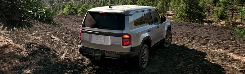 Silver Toyota Land Cruiser parked on a rocky clearing among pine trees, seen from behind